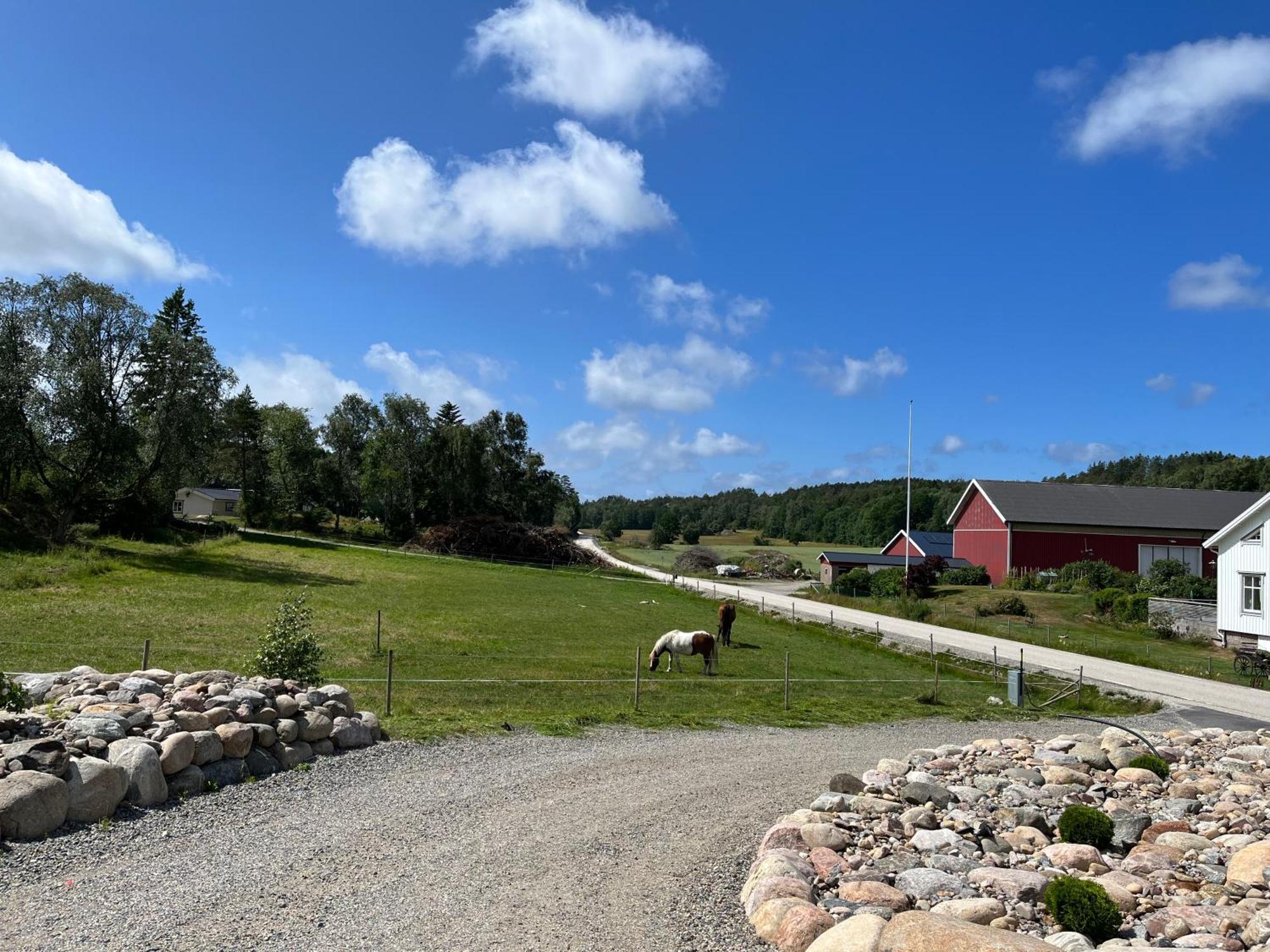 Fjaellbacka Premium Living - Wonderful Locationヴィラ エクステリア 写真